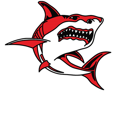 Dodges Ferry Sharks